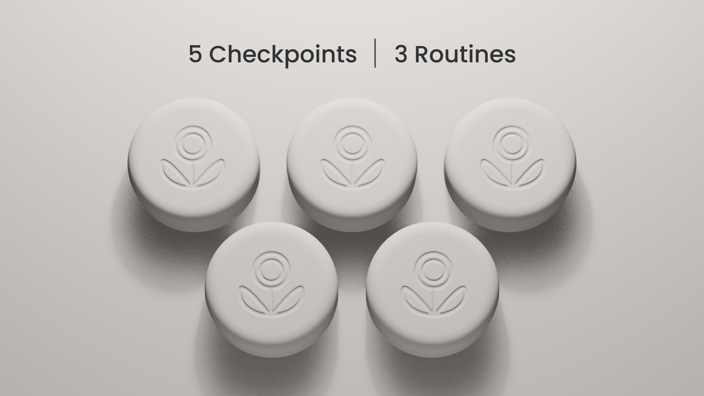 Pokito 3D render showing five checkpoints for up to 3 daily routines.