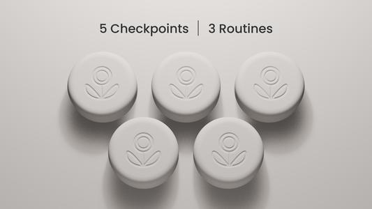 Pokito 3D render showing five checkpoints for up to 3 daily routines.